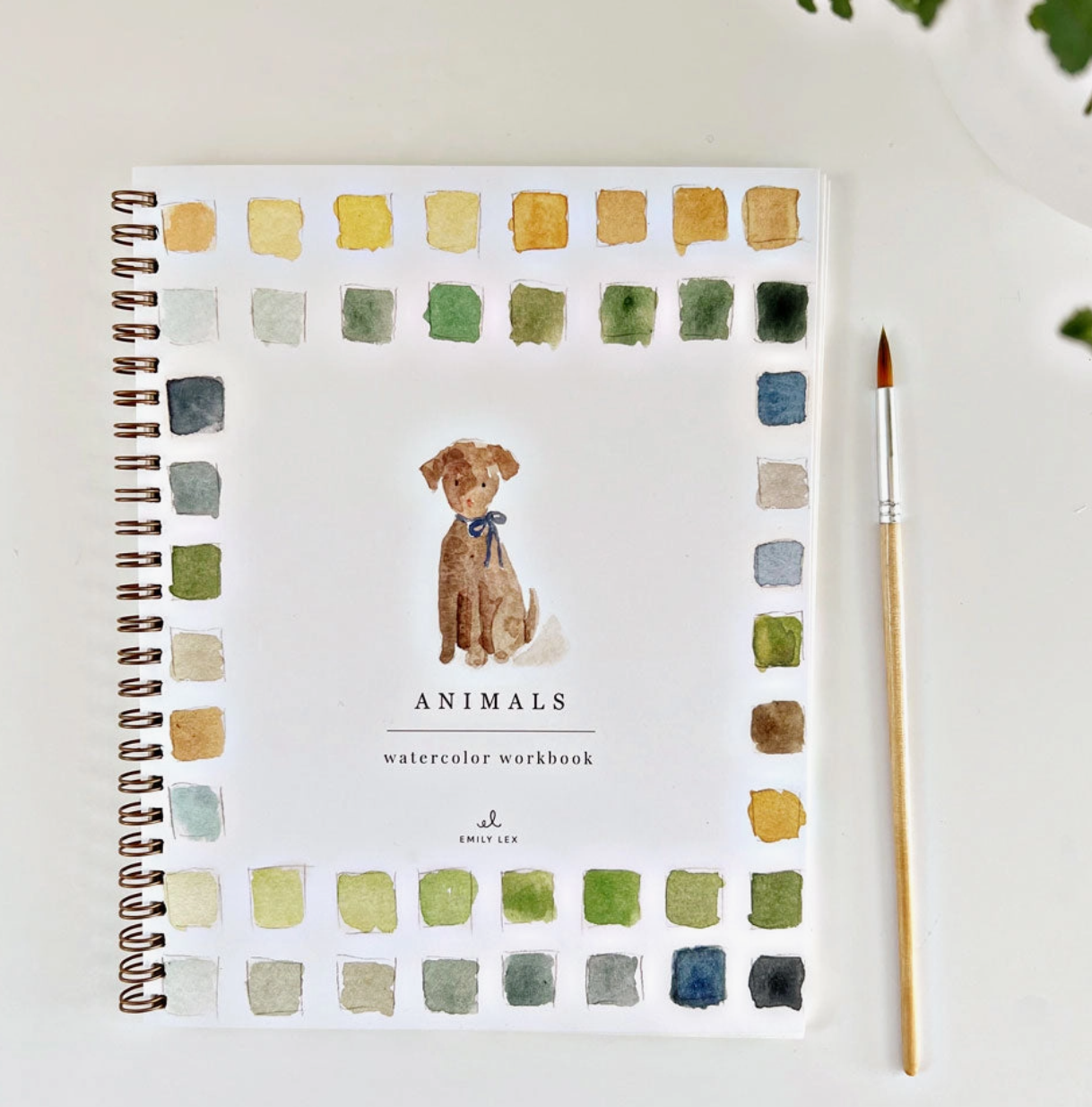 Watercolor Workbook