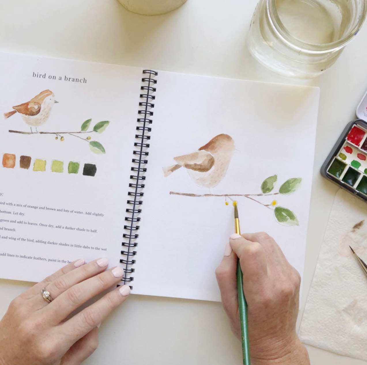 Watercolor Workbook
